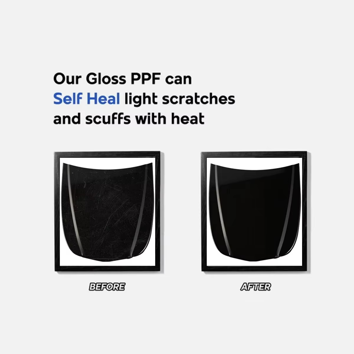 8.5mil TPU 후드 범퍼 페인트 보호 필름 (닛산 - Car Paint Protection Film Kit Pre Cut 리뷰 및 가격